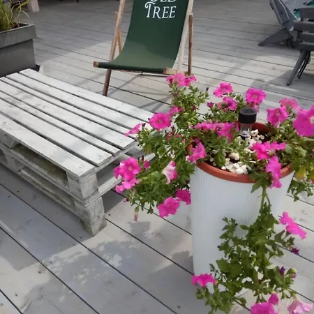 Old Tree & Restaurant Guest house
