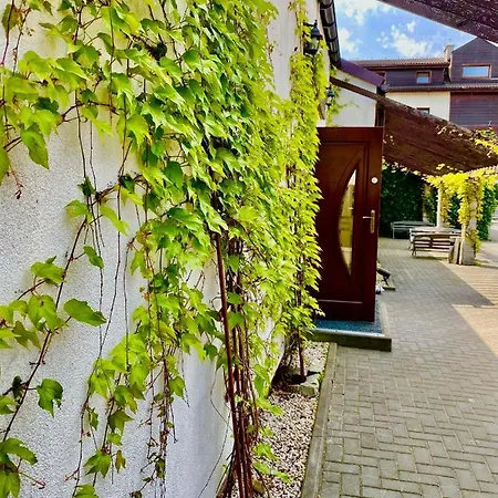 Old Tree & Restaurant Guest house