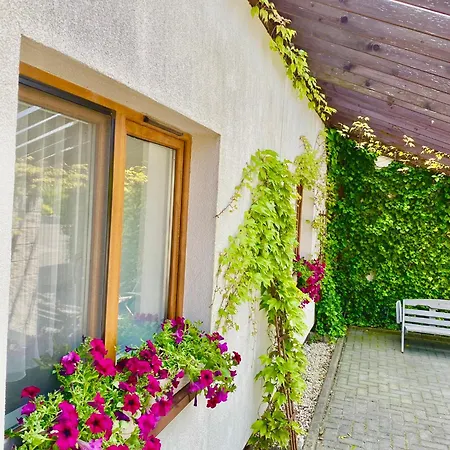 Old Tree & Restaurant