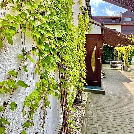 Old Tree & Restaurant