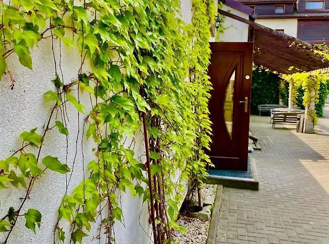 Old Tree & Restaurant בית הארחה