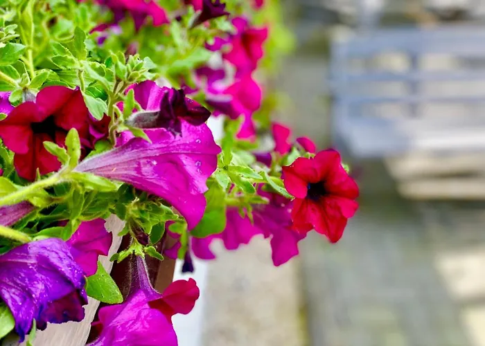 Gasthof Old Tree & Restaurant Auschwitz
